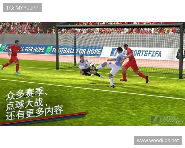 去年足球赛事（去年足球赛事排行榜）sports