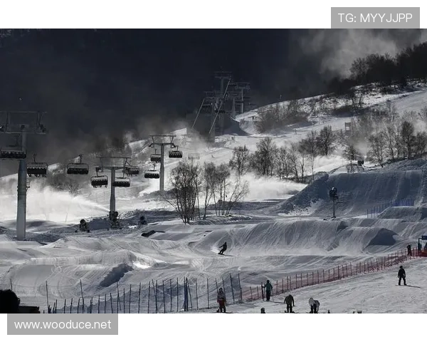 太舞滑雪世界杯视频（太舞滑雪场雪具）sports